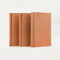 TEJA PLANA COLONIAL ROJA 20X30 UNIDAD